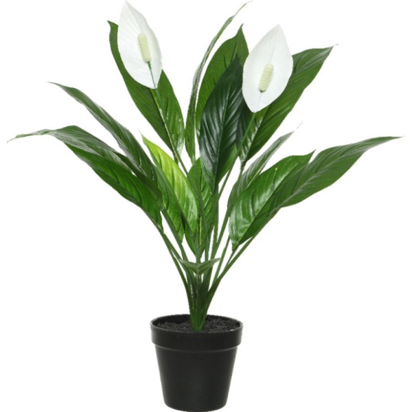 Planta artificial espatifilo